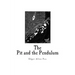 The Pit and the Pendulum