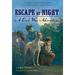 Escape by Night: A Civil War Adventure