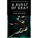 A Burst of Gray: A Novel in 100-Word Stories