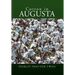 Cotton in Augusta