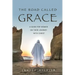 The Road Called Grace: a guide for women on their journey with Christ