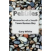 Pebbles: Memories of a Small-Town Kansas Boy