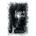 Lost & Found