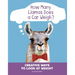 How Many Llamas Does a Car Weigh?: Creative Ways to Look at Weight