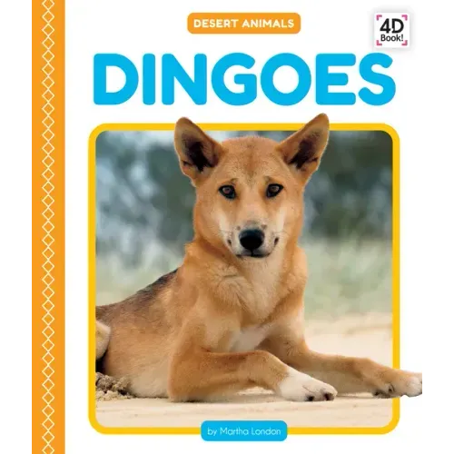 Dingoes