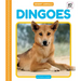 Dingoes