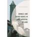 Animals and Sacred Bodies in Early Medieval Ireland: Religion and Urbanism at Clonmacnoise