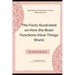 The Facts Illustrated on How the Brain Functions (How Things Work)