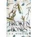 Broken Bonds (The Blood & Flame Saga, book 2)
