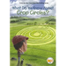 What Do We Know about Crop Circles?