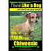 Chiweenie, Chiweenie Training AAA AKC Think Like a Dog...but Don't Eat Your Poop!: Chiweenie Breed Expert Dog Training - Here's EXACTLY How To Train Y