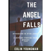The Angel Falls: Introducing DC Ryan Jarrod in a gripping Tyneside crime mystery