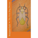 The Frost Bug Dreams