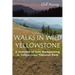 Walks in Wild Yellowstone: A Summer of Solo Backpacking in Yellowstone National Park