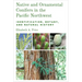 Native and Ornamental Conifers in the Pacific Northwest: Identification, Botany and Natural History
