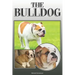 The Bulldog: A Complete and Comprehensive Owners Guide To: Buying, Owning, Health, Grooming, Training, Obedience, Understanding and Caring for Your Bu