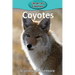 Coyotes