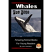 Whales For Kids