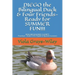 DIEGO the Bilingual Duck & Four Friends- Ready for SUMMER FUN!!!: BUILDING READING FLUENCY- Preschool - Grade 2 ( for English & Spanish learners)