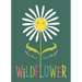 Wildflower