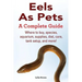 Eels As Pets: Where to buy, species, aquarium, supplies, diet, care, tank setup, and more! A Complete Guide!