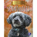 Schnoodles