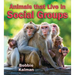 Animals That Live in Social Groups