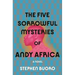 The Five Sorrowful Mysteries of Andy Africa