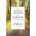 The Silent Shades of Sorrow: Healing for the Wounded