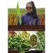 Yungcautnguuq Nunam Qainga Tamarmi/All the Land's Surface Is Medicine: Edible and Medicinal Plants of Southwest Alaska
