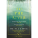 To the River: A Journey Beneath the Surface