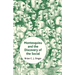 Montesquieu and the Discovery of the Social