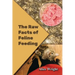 The Raw Facts of Feline Feeding