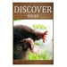 Moles - Discover: Early reader's wildlife photography book
