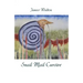 Snail Mail Cursive