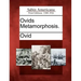 Ovids Metamorphosis.