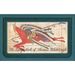 The Ledgerbook of Thomas Blue Eagle