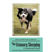 The Visionary Sheepdog: A Leadership Book