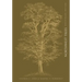 Northwest Trees