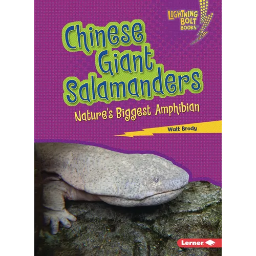 Chinese Giant Salamanders: Nature's Biggest Amphibian