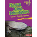 Chinese Giant Salamanders: Nature's Biggest Amphibian