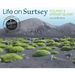 Life on Surtsey: Iceland's Upstart Island