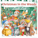 Christmas In the Woods