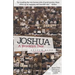 Joshua: A Brooklyn Tale