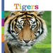 Tigers