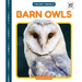 Barn Owls