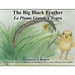 The Big Black Feather: La Pluma Grande y Negra