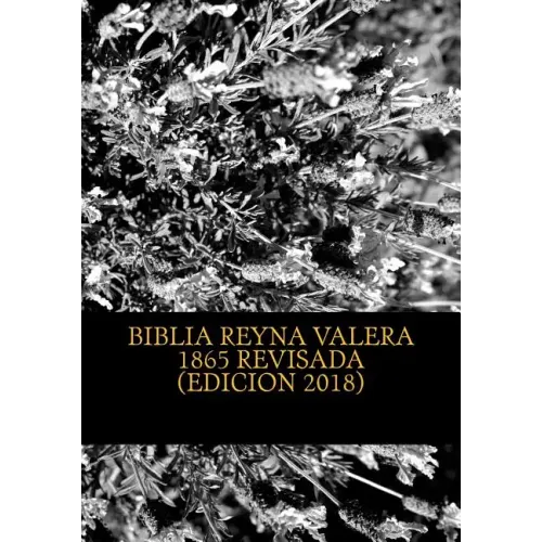 Biblia Reina Valera 1865 Revisada: REVISION de la BIBLIA basada en el Texto MASORETICO y Texto RECEPTUS (Bizantino y Peshitta)