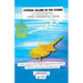 Cyprus: Island in the Storm