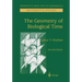 The Geometry of Biological Time